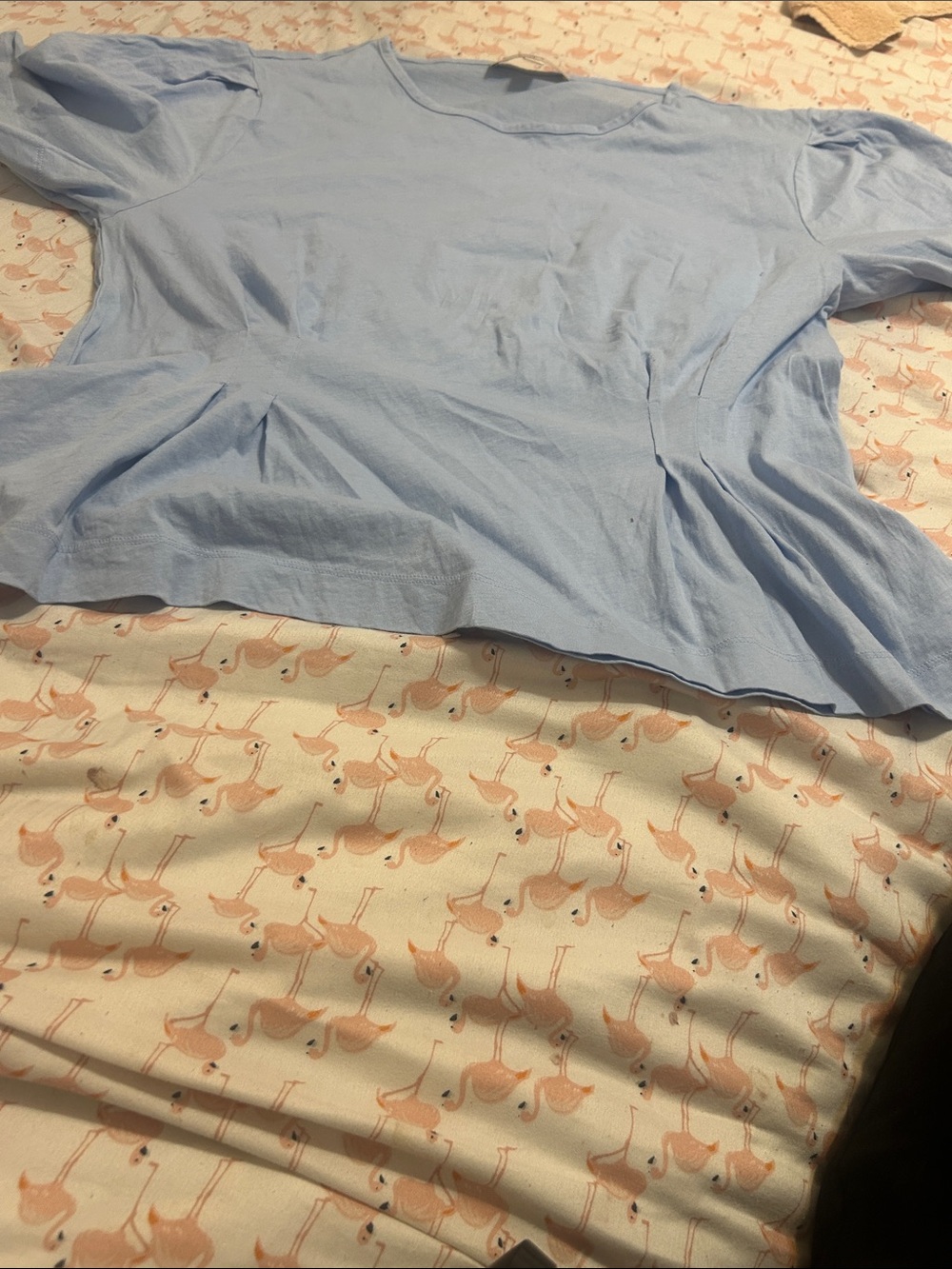 Light Blue Peplum Top & raspberry t-shirt